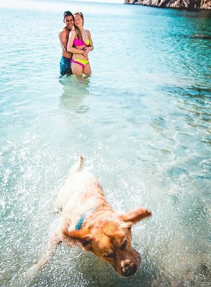 Inspiración preboda: Divertida con mascota! 