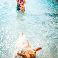 Inspiración preboda: Divertida con mascota! 