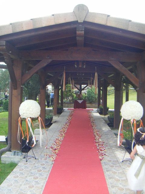 alfombra