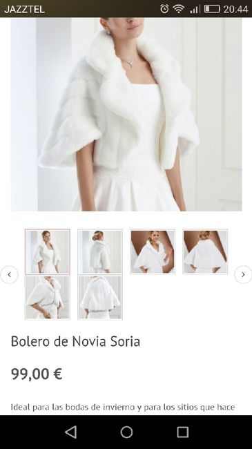 ¿donde puedo comprar abrigo, estola o bolero y que no me sangren por ello? - 1