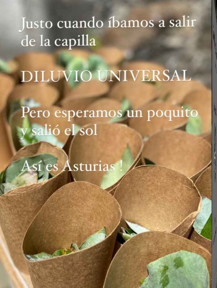 Alternativas al arroz - 3