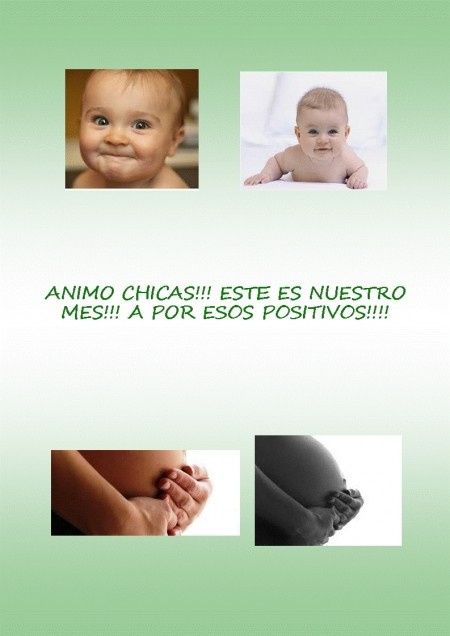 A VISUALIZAR!!!!!