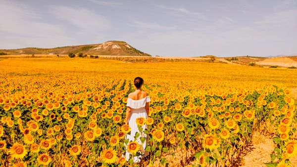 ¡Y al fin me casé! ¡Sueño hecho realidad! 5