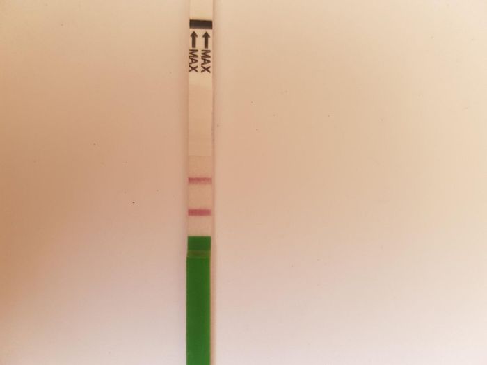 Buscadoras Julio 2020 ♥️ - 1