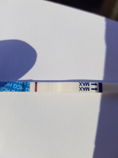 Buscadoras Julio 2020 ♥️ - 1