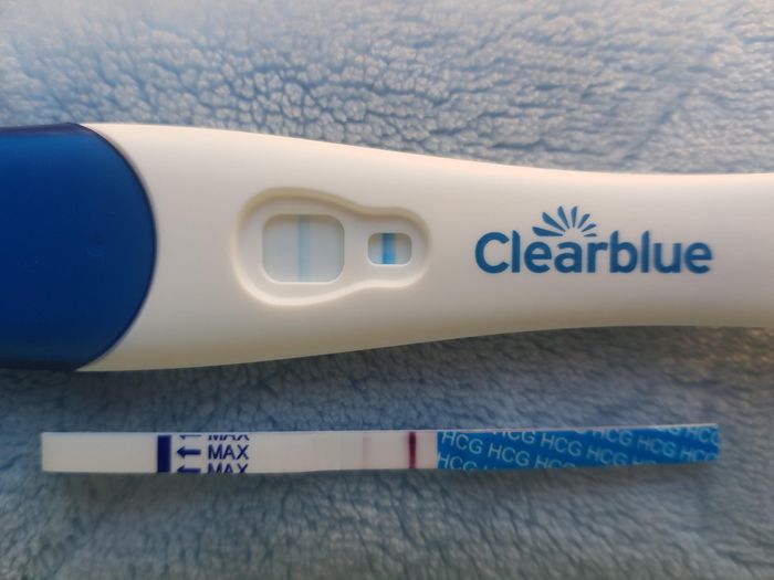 Buscadoras Julio 2020 ♥️ - 1