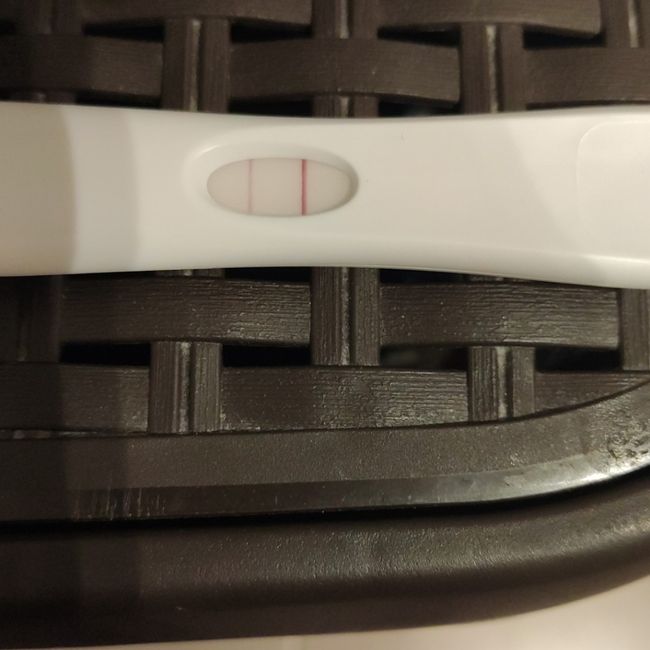 Buscadoras febrero 2021 💜👶🏻✨ 1