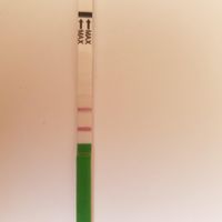 Buscadoras Julio 2020 ♥️ - 1