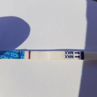 Buscadoras Julio 2020 ♥️ - 1