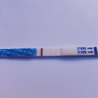 Buscadoras Julio 2020 ♥️ - 2