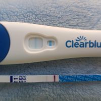 Buscadoras Julio 2020 ♥️ - 1