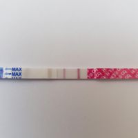 Buscadoras Agosto 2020 🍀 - 1