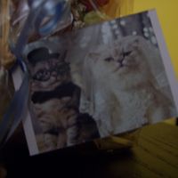 tarjetitas para regalos