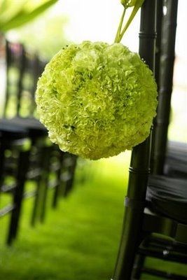 pomander verde