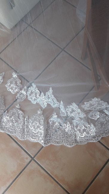 Zapatos azules y rosas - 2
