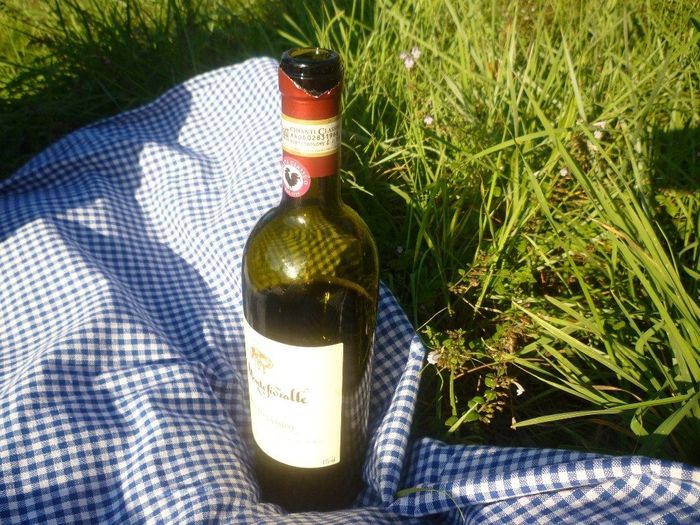 Dia 2 - Degustando vino Chianti en una colina