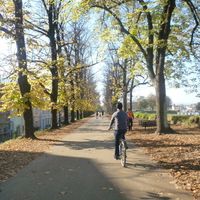 Dia 9 - Paseo en bici por la muralla de Lucca