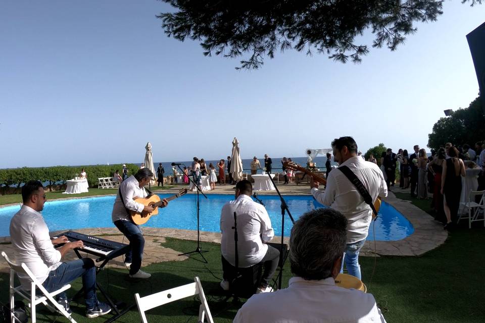 Bodas