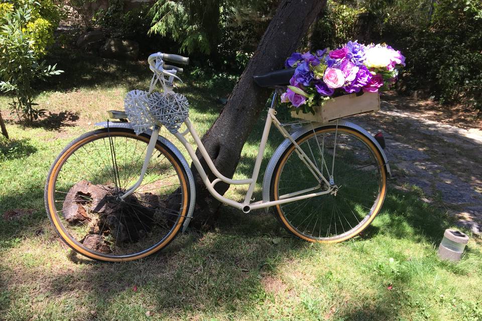 Bicicleta vintage