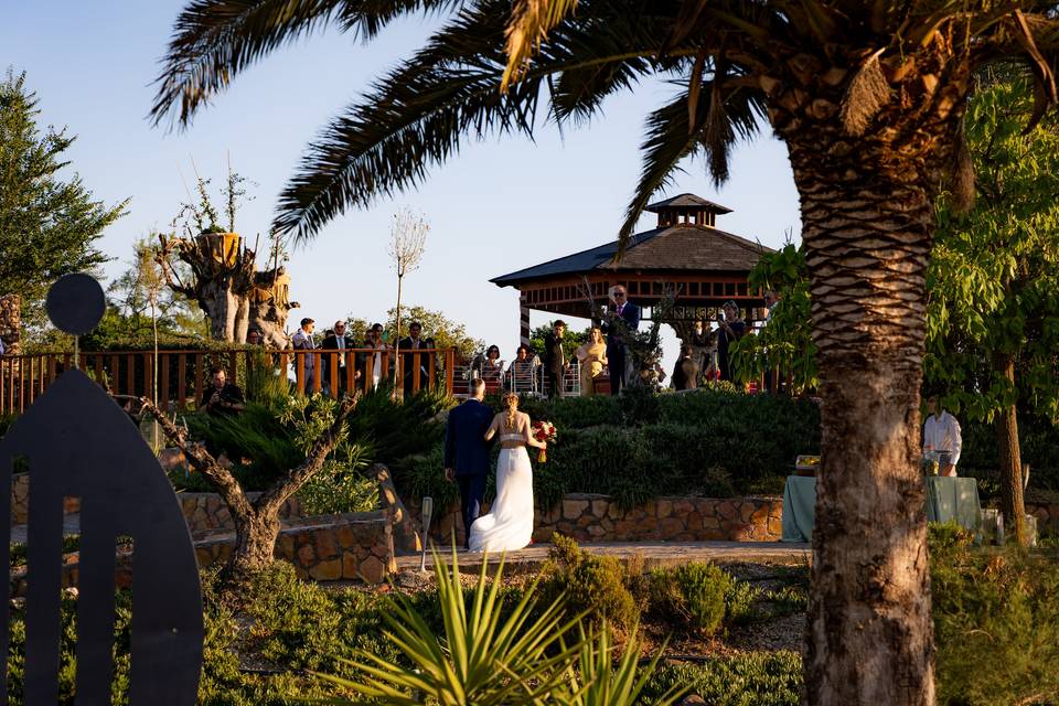 Boda M & P