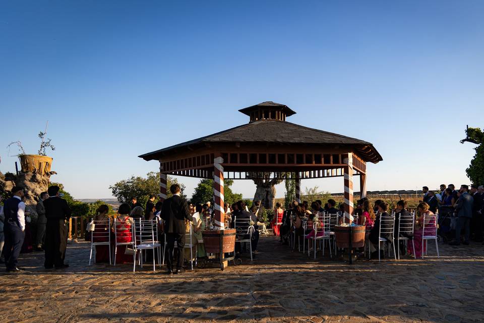 Boda M & P