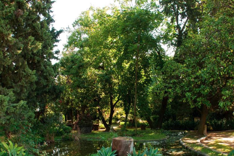 Hacienda Santa Eufemia
