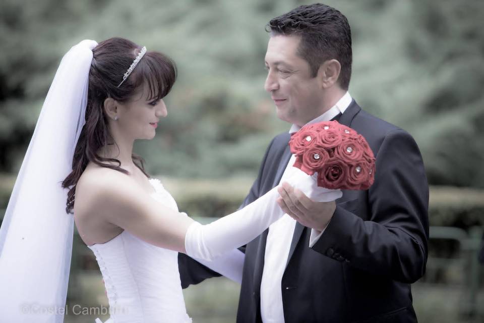 Amor
