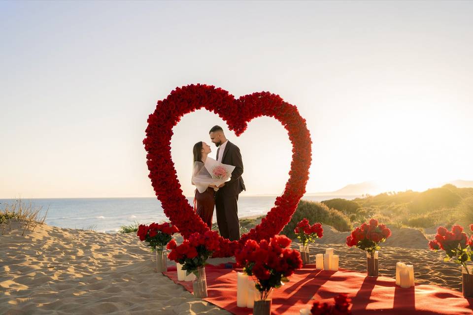 Marbella Proposals
