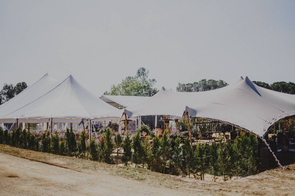 Veleo Tent&Event