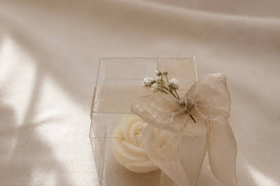Rosa elegance