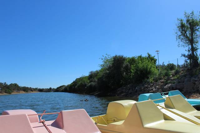Barcas