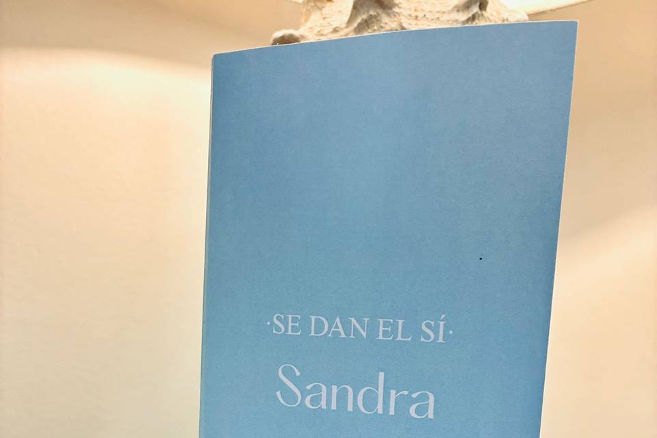 Modelo Libro