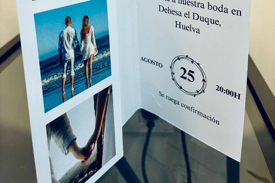 Modelo Libro