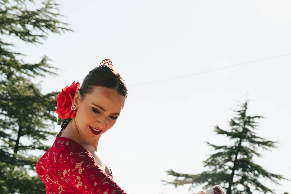 Show Flamenco de alto nivel