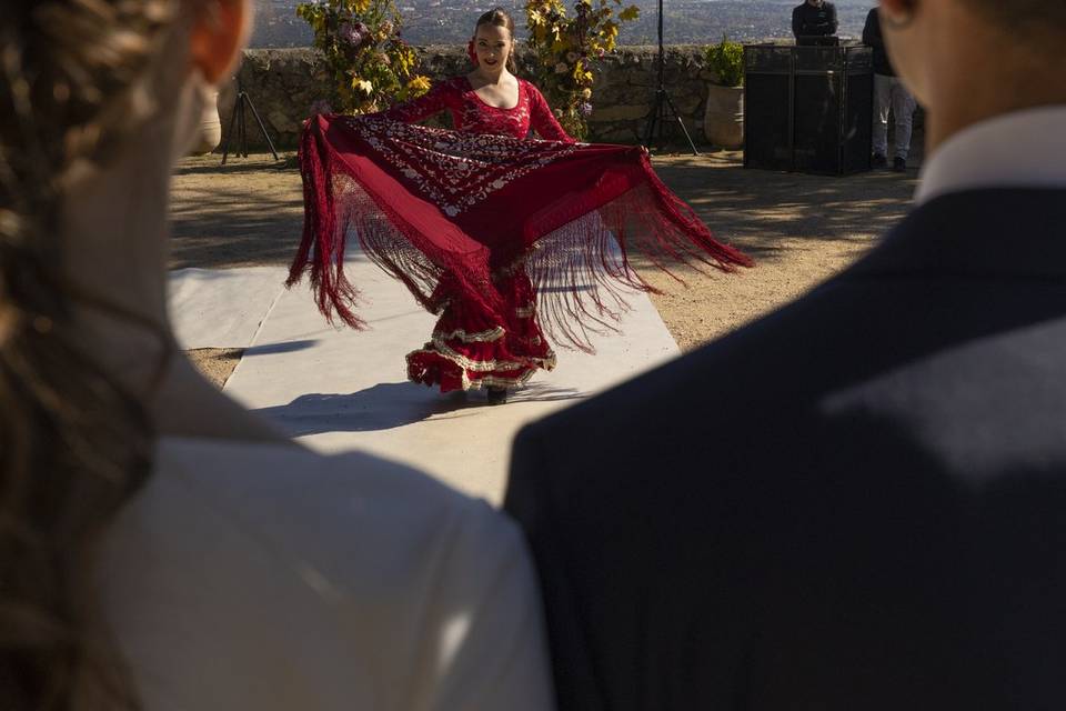 Show Flamenco Bodas
