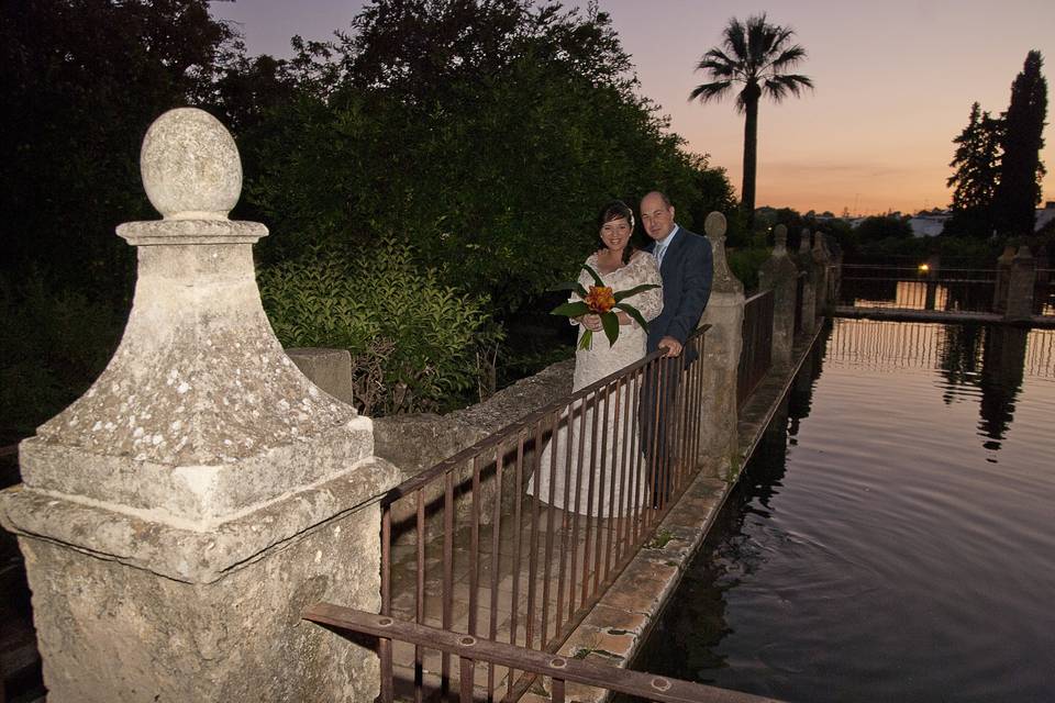 Boda en Alcázar