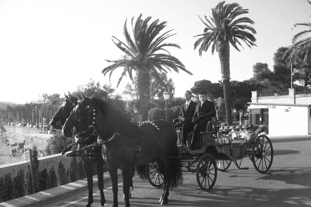 Carruajes Mallafre