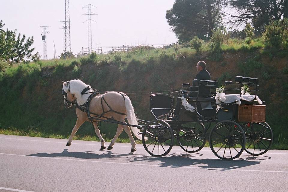 Carruaje a la limonera