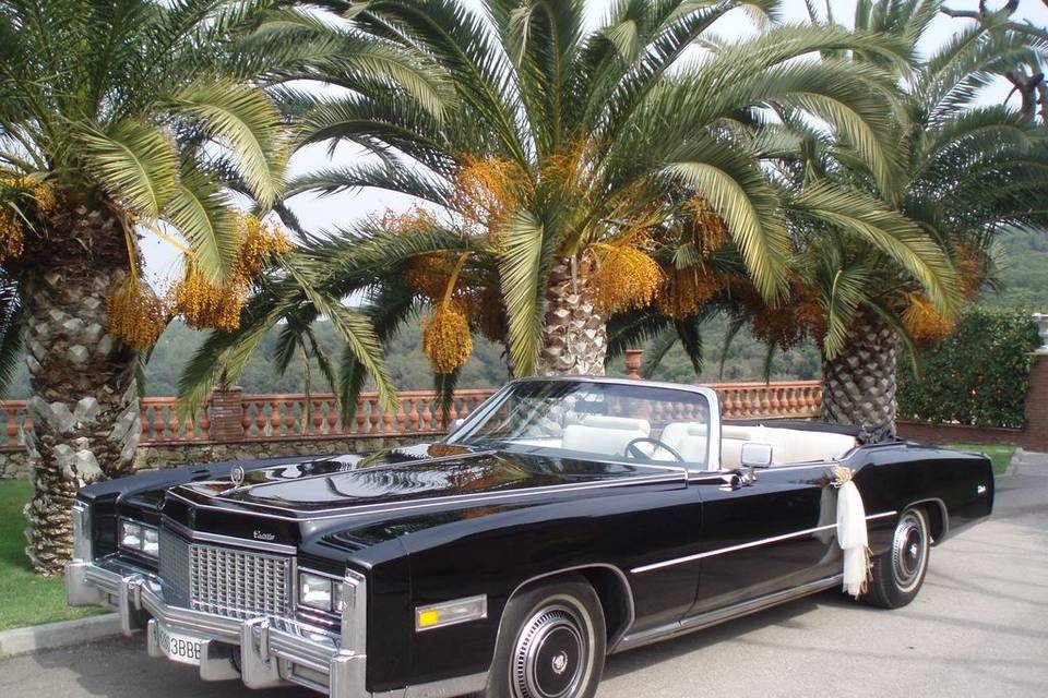 Cadillac ElDorado