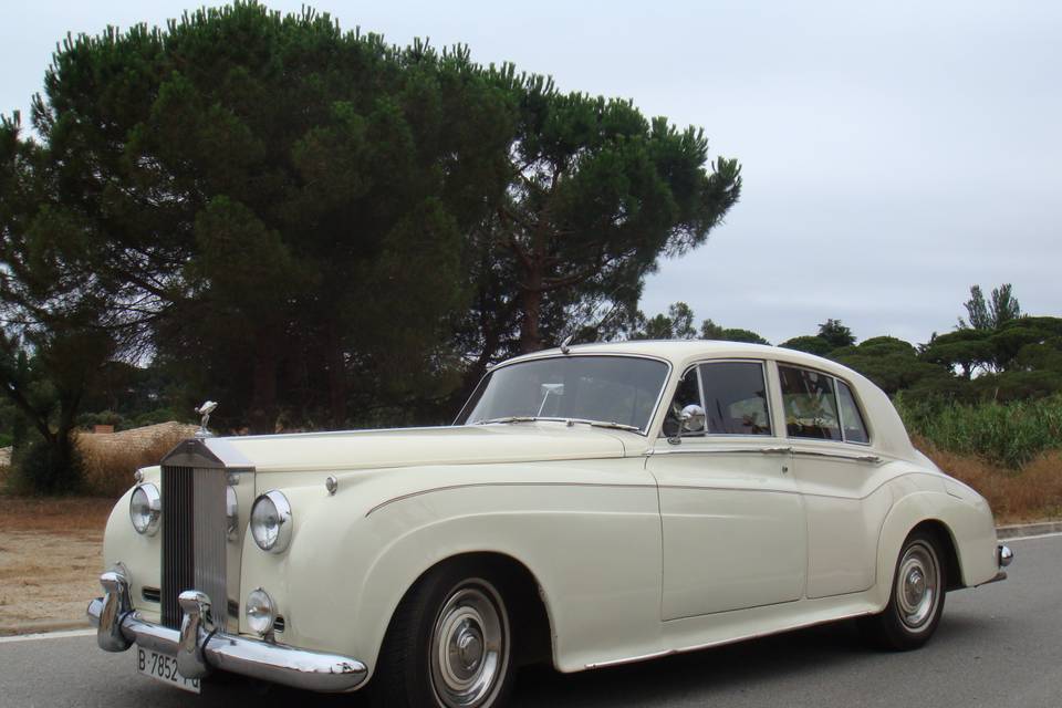 J&D Classics y Limousines