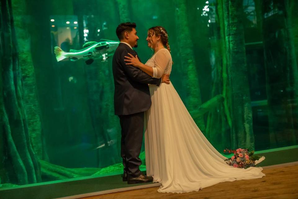 Fotografías en el acuario