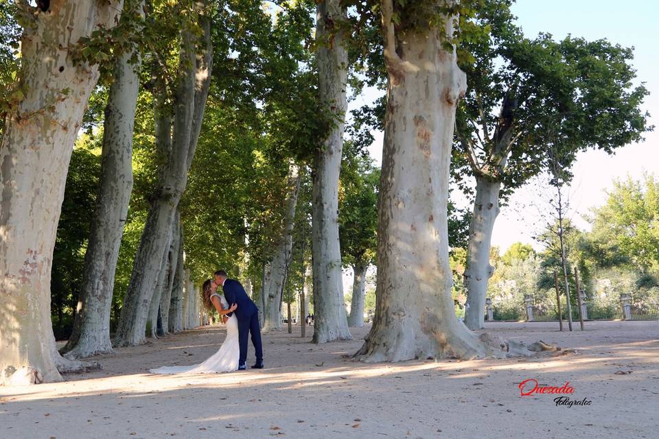 Postboda Aranjuez