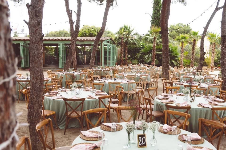 Casa Luna Pinada Banquete