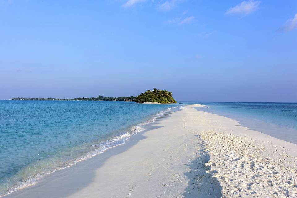 Sandbank y Picnic island