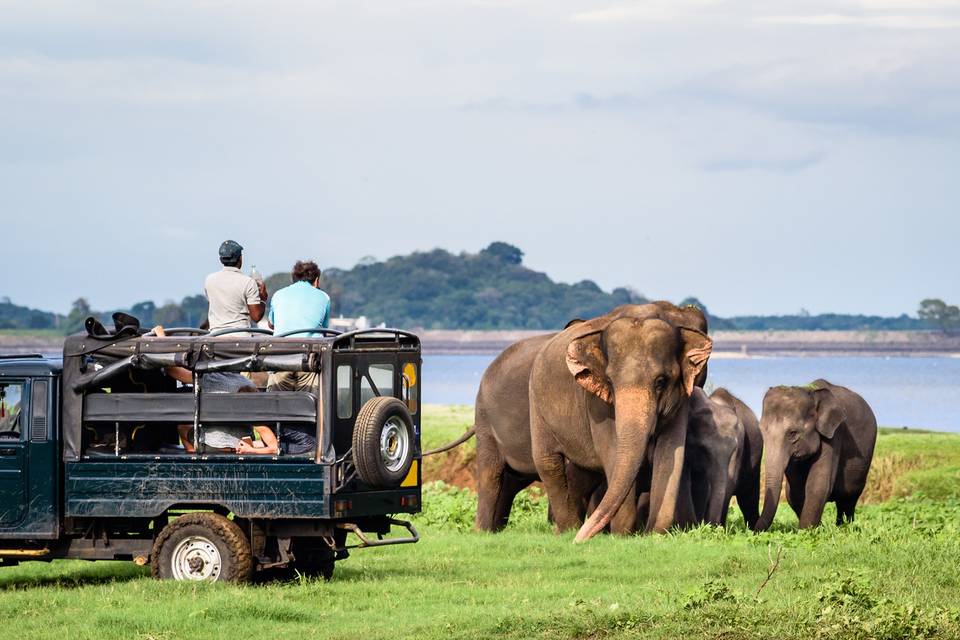 Sri Lanka