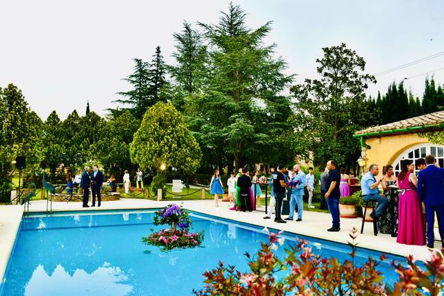 Pica pica en los jardines