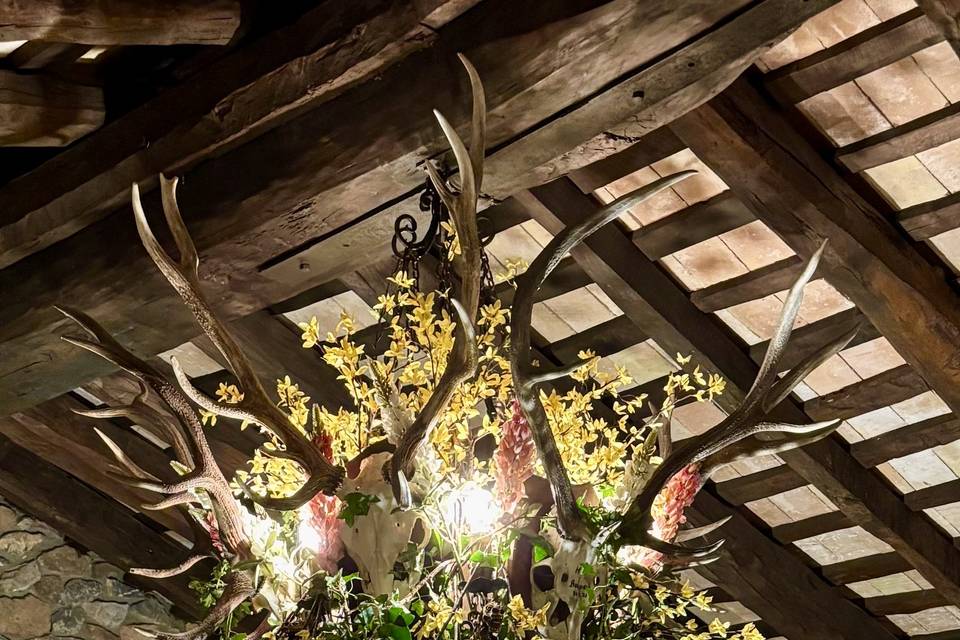 Decoration & iluminacion
