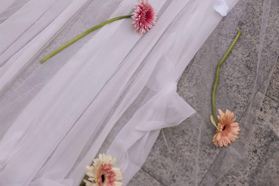 Gerberas