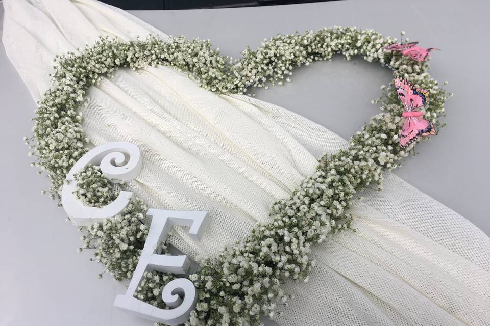 Decoracion lino coche