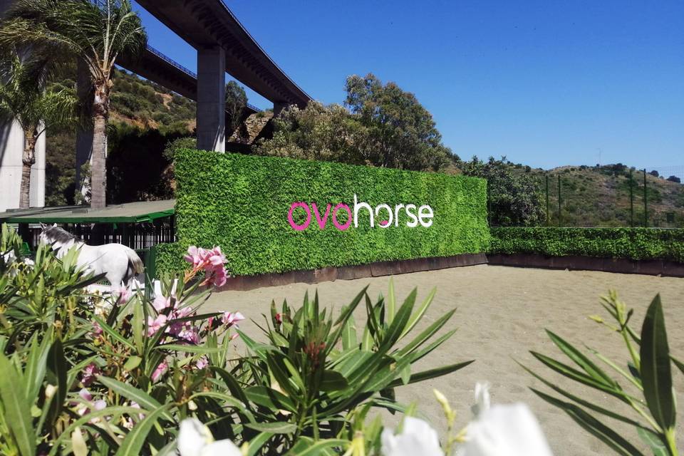 Ovohorse by Ovoevents